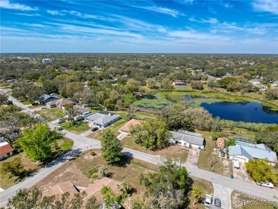 Stunning Lakefront Pool Home in Spring Hill! Welcome to this - photo 56
