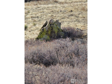 (private lake, pond, creek) Acreage For Sale in Berthoud Colorado