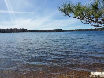 Lake Mary Acreage For Sale in Crystal Falls Michigan