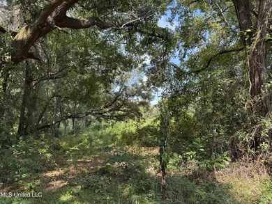 Don't miss this opportunity just west of Memorial Hospital. This - photo 4