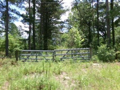 Lake Acreage For Sale in Donalsonville, Georgia