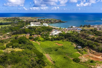 Steal of the Day! Vacant Lot for Sale in the Heart of Lihue! - photo 3