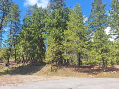 Lake San Souci Lot For Sale in Blanchard Idaho