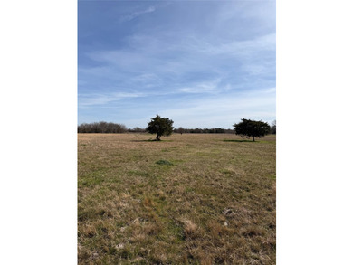 OWNER FINANCING AVAILABLE! MULTIPLE LOTS AVAILABLE! Own 10.76 - photo 2