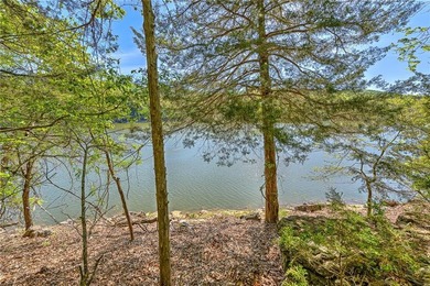 Set on a premier lakefront lot along the shores of Table Rock - photo 44