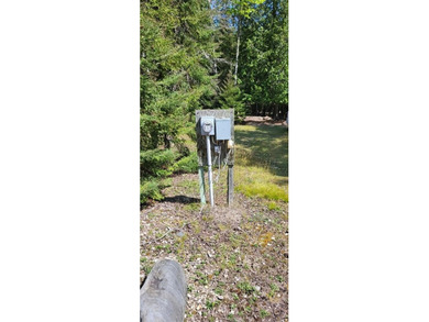 5 great Lots in Fruitland sub. Power, well and in place and - photo 5