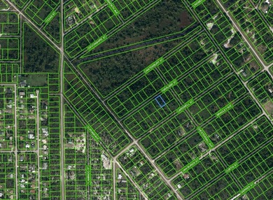 Lake Istokpoga Lot For Sale in Lake Placid Florida