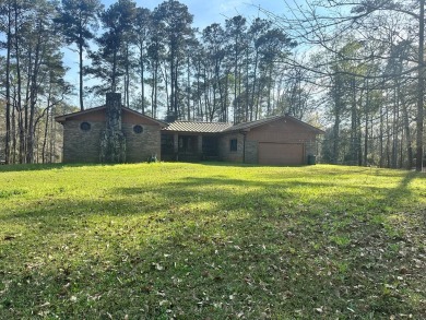 Lake Eufaula / Walter F George Reservoir Home For Sale in Abbeville Alabama