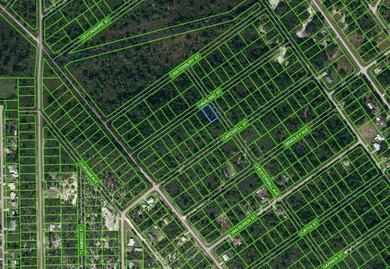 Lake Istokpoga Lot For Sale in Lake Placid Florida