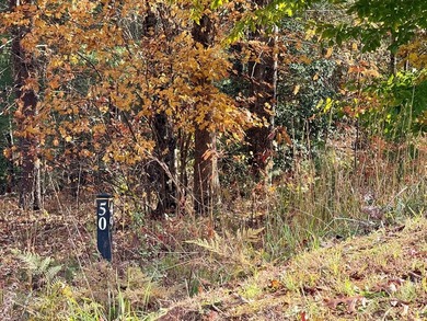 Build your mountain retreat in the highly sought-after Cullowhee - photo 11