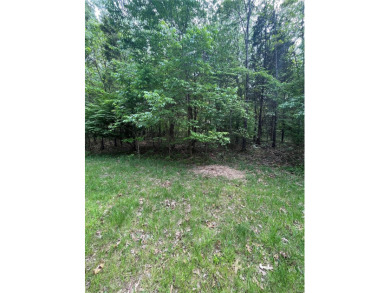 Lake Lot For Sale in Fredericktown, Missouri