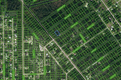 Lake Istokpoga Lot For Sale in Lake Placid Florida