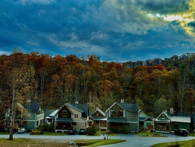 Build your mountain retreat in the highly sought-after Cullowhee - photo 12