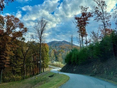 Build your mountain retreat in the highly sought-after Cullowhee - photo 16