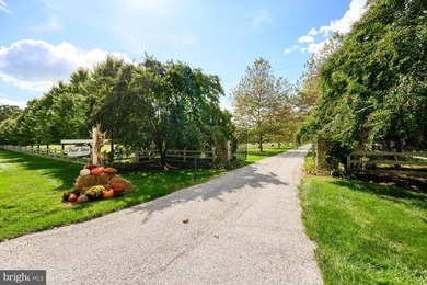 Set along the peaceful waters of Caulk Cove, this extraordinary - photo 17