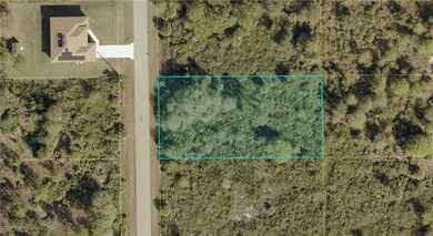Lehigh Acres Area Lot For Sale in Lehigh Acres Florida