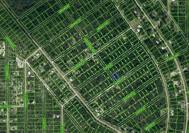 Lake Istokpoga Lot For Sale in Lake Placid Florida