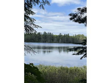 Lake Lot For Sale in Newberry, Michigan