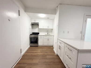 CALL BRANDON ESPERpletely renovated first-floor studio located - photo 3
