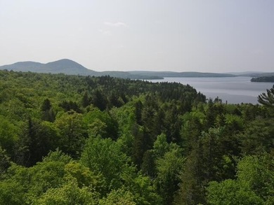 Lower Wilson Pond Acreage For Sale in Greenville Maine