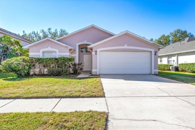 Lake Home For Sale in Wesley Chapel, Florida