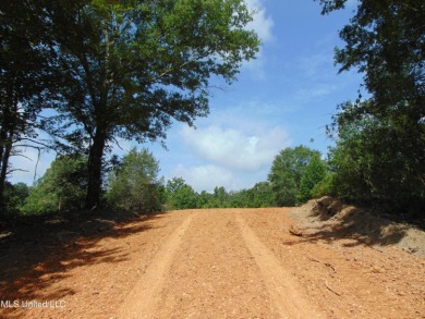 Lake Acreage For Sale in Wesson, Mississippi