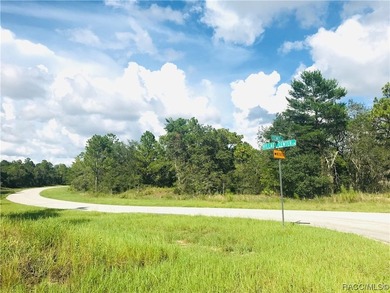 New 70 Estate Lot Subdivision plan w/ gated Enclave at Oak - photo 2