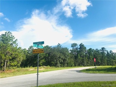 New 70 Estate Lot Subdivision plan w/ gated Enclave at Oak - photo 7
