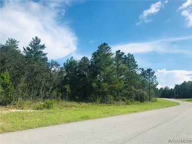 New 70 Estate Lot Subdivision plan w/ gated Enclave at Oak - photo 8