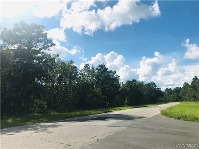 New 70 Estate Lot Subdivision plan w/ gated Enclave at Oak - photo 9