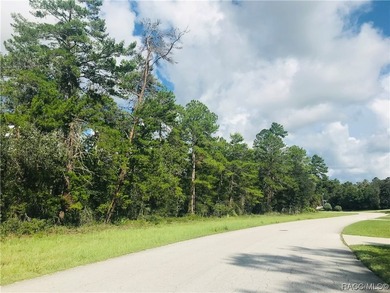 New 70 Estate Lot Subdivision plan w/ gated Enclave at Oak - photo 10