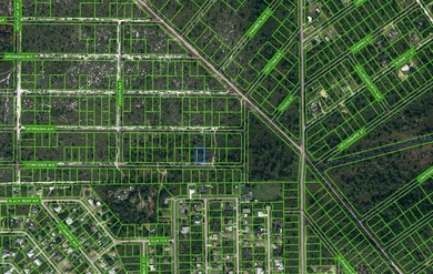 Lake Clay Lot For Sale in Lake Placid Florida