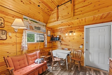 Meticulously Maintained Lake Cabin with Endless Potential! - photo 5