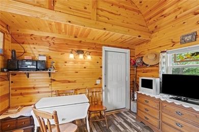 Meticulously Maintained Lake Cabin with Endless Potential! - photo 6