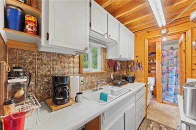 Meticulously Maintained Lake Cabin with Endless Potential! - photo 9