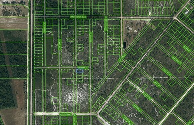 Lake Istokpoga Lot For Sale in Lake Placid Florida