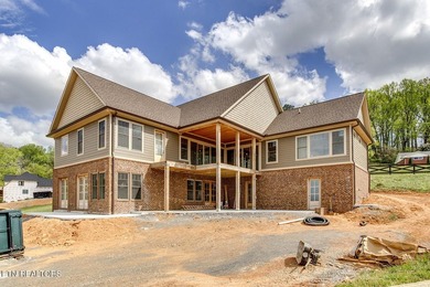 Stunning Un-Obstructed Lake View Home with High-End Finishes - photo 47