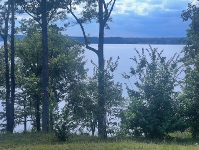 Lake Home For Sale in Georgetown, Georgia