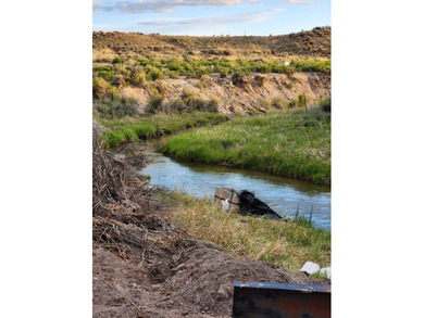 South Fork Reservoir Home For Sale in Spring Creek Nevada