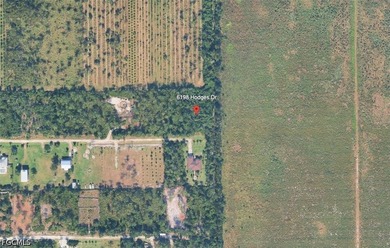 Discover the possibilities on beautiful Pine Island with this - photo 2