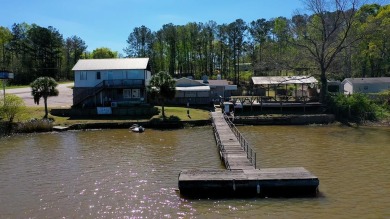 Lake Eufaula / Walter F George Reservoir Commercial For Sale in Abbeville Alabama
