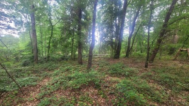 Lake Blalock Acreage For Sale in Chesnee South Carolina