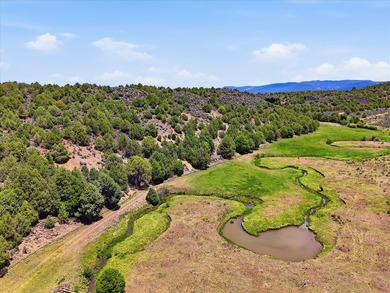 Welcome to your premier legacy ranch in the heart of northern - photo 11