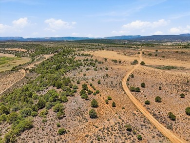 Welcome to your premier legacy ranch in the heart of northern - photo 14