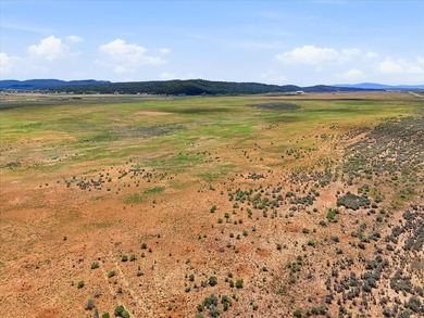 Welcome to your premier legacy ranch in the heart of northern - photo 17