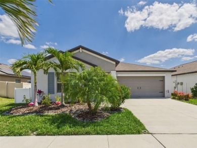 (private lake, pond, creek) Home For Sale in Sun City Center Florida
