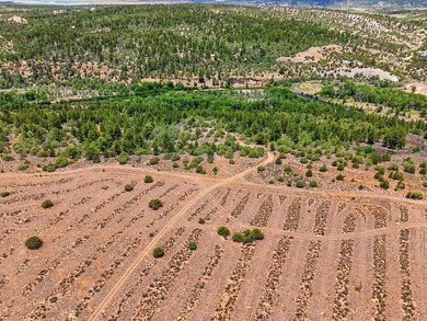 Welcome to your premier legacy ranch in the heart of northern - photo 21