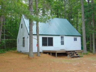 Lake Home For Sale in Seney, Michigan