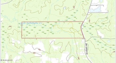 +/- 255 acres hunting and timberland property located in the Dry - photo 2