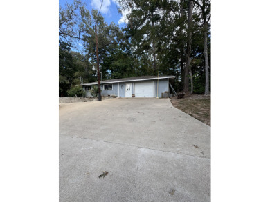 3bd, 3 ba, lakehouse garage workshop boathouse pontoon boat - photo 6
